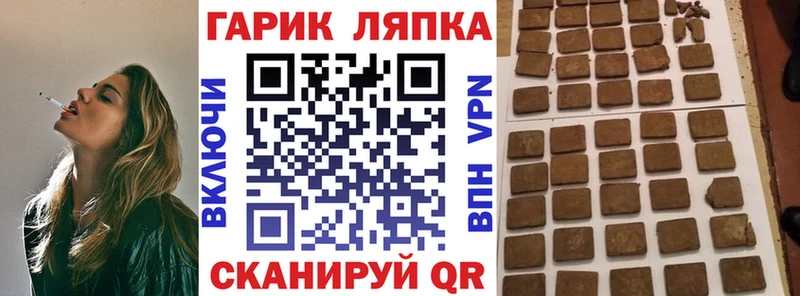 где купить   Болохово  ГАШ Premium 