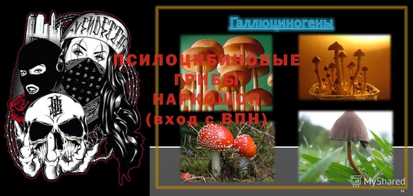 соль ск Михайлов